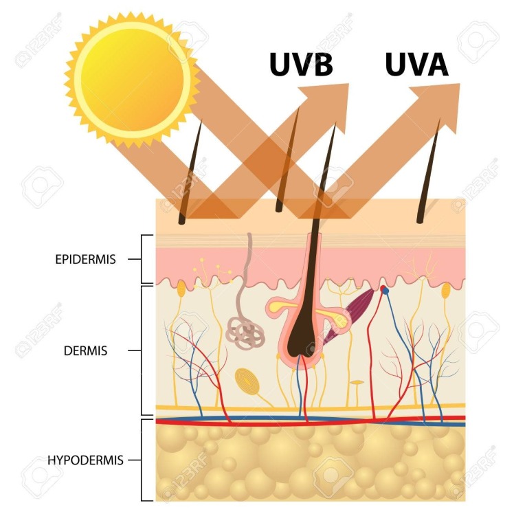 حمایت مطالعات ارائه شده از استفاده نانو ذرات اکسید روی در کرم های ضد آفتاب